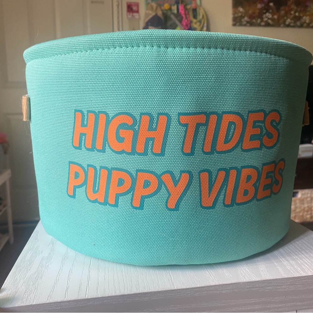 Teal Storage Basket for Dogs